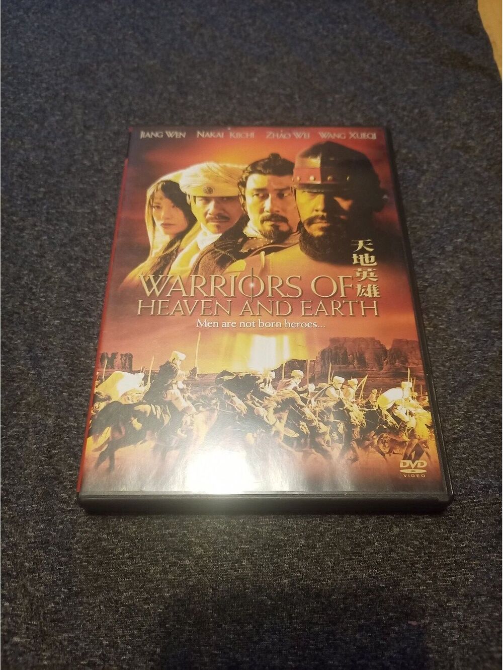 Warriors Of Heaven And Earth DVD